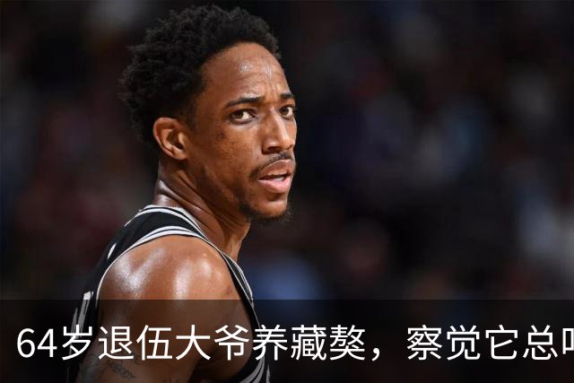 64岁退伍大爷养藏獒，察觉它总叼袜子去阳台，专家：不好，快送走